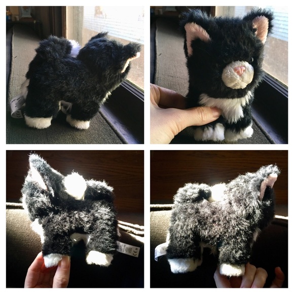 american girl tuxedo cat